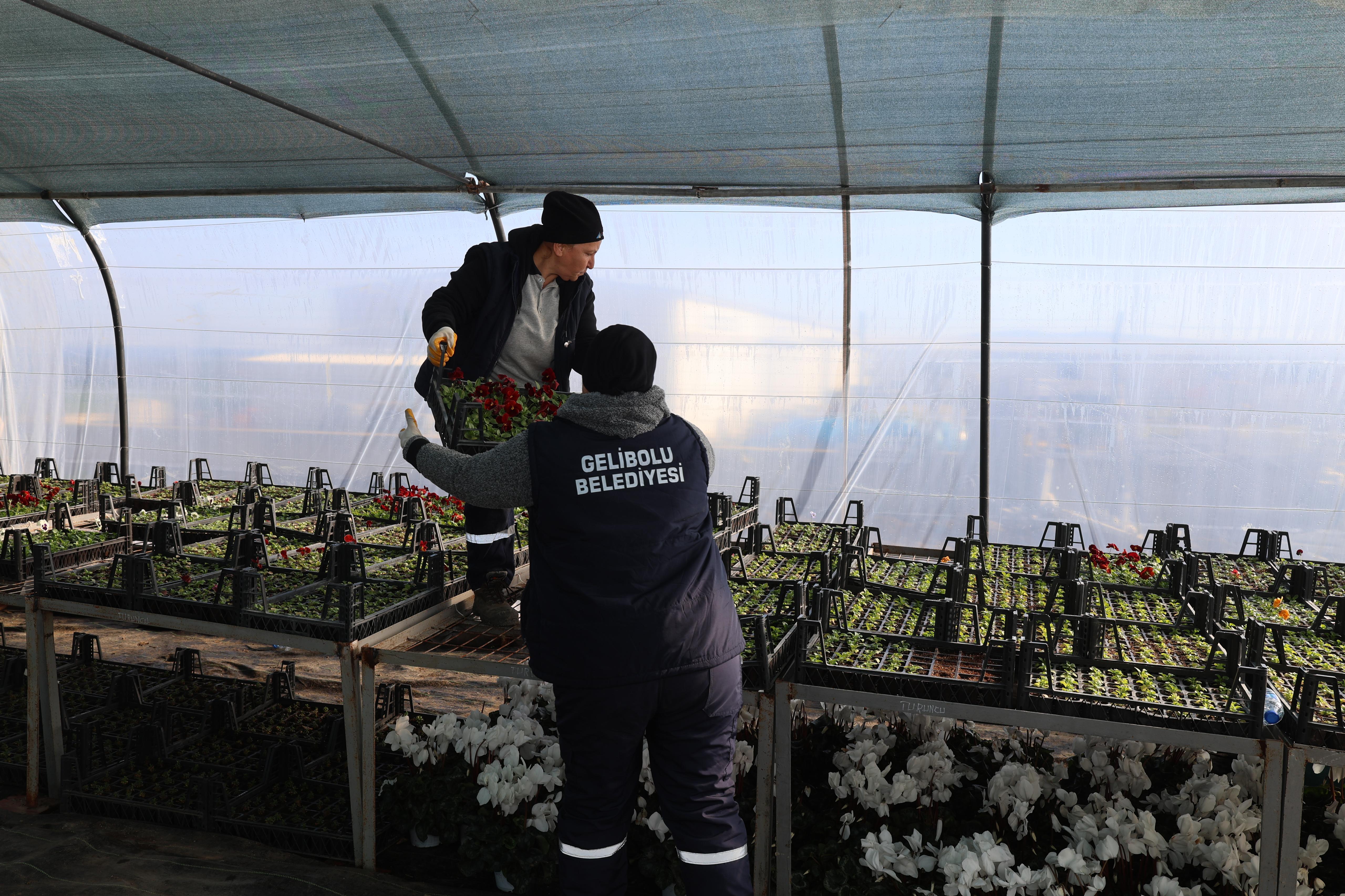 ÇİÇEKLERİMZİ KENDİMİZ YETİŞTİRİYORUZ